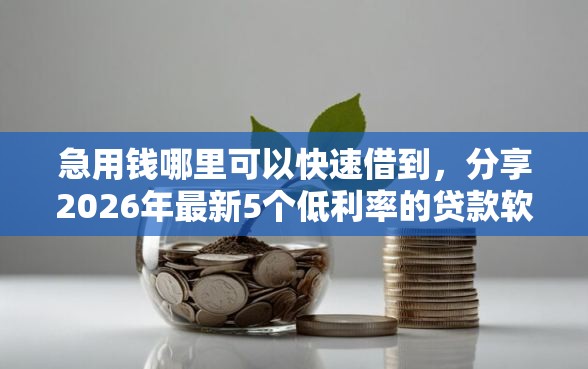 急用钱哪里可以快速借到，分享2026年最新5个低利率的贷款软件