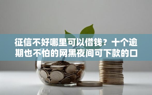 征信不好哪里可以借钱？十个逾期也不怕的网黑夜间可下款的口子