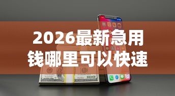 2026最新急用钱哪里可以快速借到（支持微信），5个2025黑户借款必下大额口子无私分享