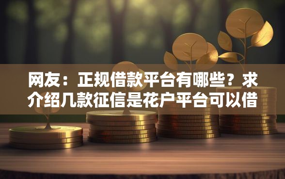 网友：正规借款平台有哪些？求介绍几款征信是花户平台可以借钱不