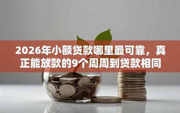 2026年小额贷款哪里最可靠，真正能放款的9个周周到贷款相同系列的软件推荐
