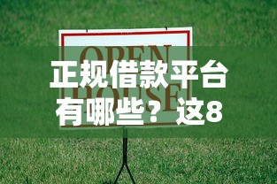 正规借款平台有哪些？这8个高能分期贷款口子新秀可以试试