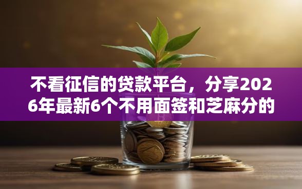 不看征信的贷款平台，分享2026年最新6个不用面签和芝麻分的贷款平台