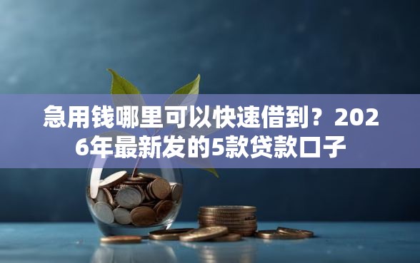 急用钱哪里可以快速借到？2026年最新发的5款贷款口子