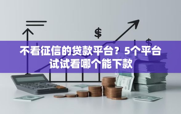 不看征信的贷款平台？5个平台试试看哪个能下款