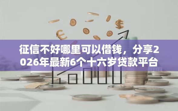 征信不好哪里可以借钱，分享2026年最新6个十六岁贷款平台