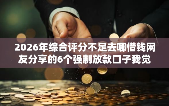 2026年综合评分不足去哪借钱网友分享的6个强制放款口子我觉得不错！
