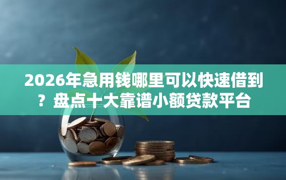 2026年急用钱哪里可以快速借到？盘点十大靠谱小额贷款平台