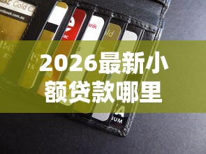 2026最新小额贷款哪里最可靠，总结十个和全民钱包一样好下款的软件！