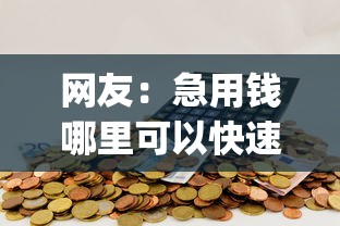 网友：急用钱哪里可以快速借到？求介绍几款不用芝麻分能借的app