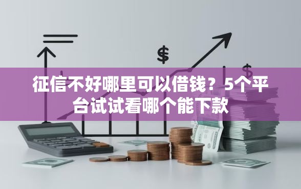 征信不好哪里可以借钱？5个平台试试看哪个能下款