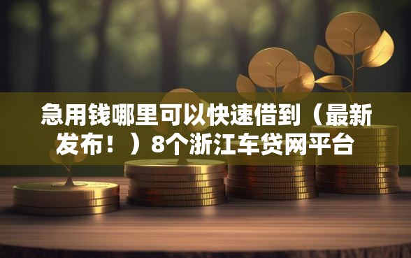 急用钱哪里可以快速借到（最新发布！）8个浙江车贷网平台