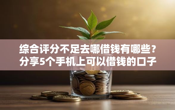 综合评分不足去哪借钱有哪些？分享5个手机上可以借钱的口子