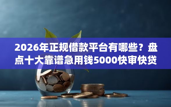 2026年正规借款平台有哪些?盘点十大靠谱急用钱5000快审快贷无需征信app 2026年正规借款平台有哪些?盘点十大靠谱急用钱5000快审快贷无需征信app