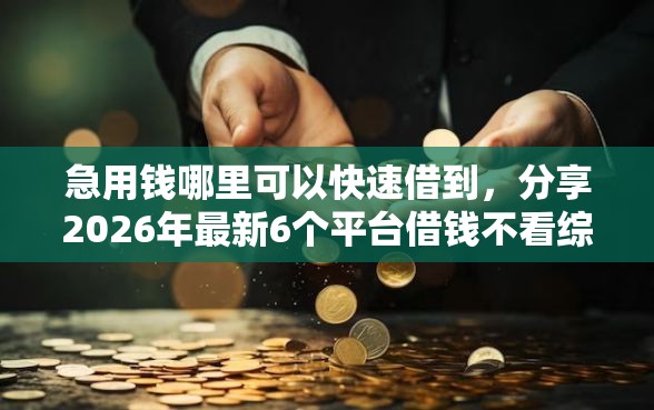 急用钱哪里可以快速借到，分享2026年最新6个平台借钱不看综合评分