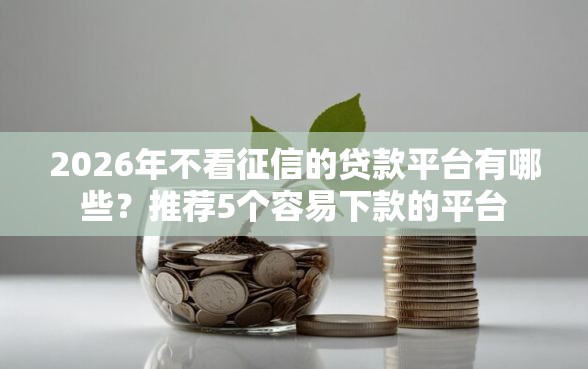 2026年不看征信的贷款平台有哪些？推荐5个容易下款的平台
