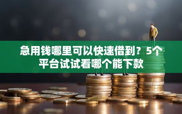 急用钱哪里可以快速借到？5个平台试试看哪个能下款
