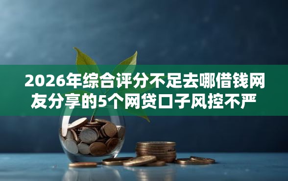 2026年综合评分不足去哪借钱网友分享的5个网贷口子风控不严的口子我觉得不错！
