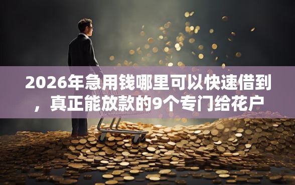 2026年急用钱哪里可以快速借到,真正能放款的9个专门给花户放款的平台推荐 2026年急用钱哪里可以快速借到,真正能放款的9个专门给花户放款的平台推荐