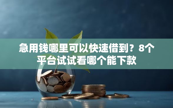 急用钱哪里可以快速借到？8个平台试试看哪个能下款