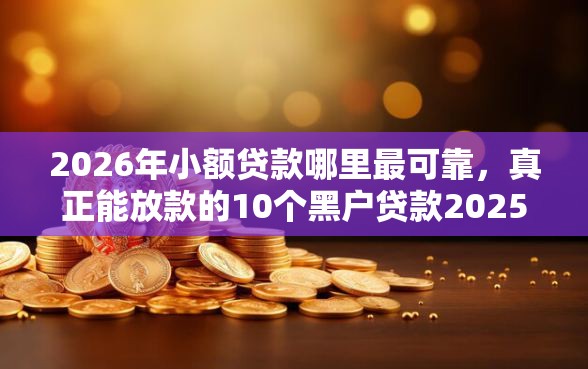 2026年小额贷款哪里最可靠,真正能放款的10个黑户贷款2025新口子推荐 2026年小额贷款哪里最可靠,真正能放款的10个黑户贷款2025新口子推荐