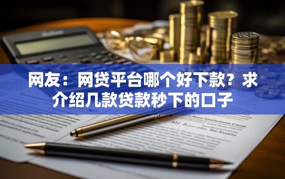网友:网贷平台哪个好下款?求介绍几款贷款秒下的口子 网友:网贷平台哪个好下款?求介绍几款贷款秒下的口子