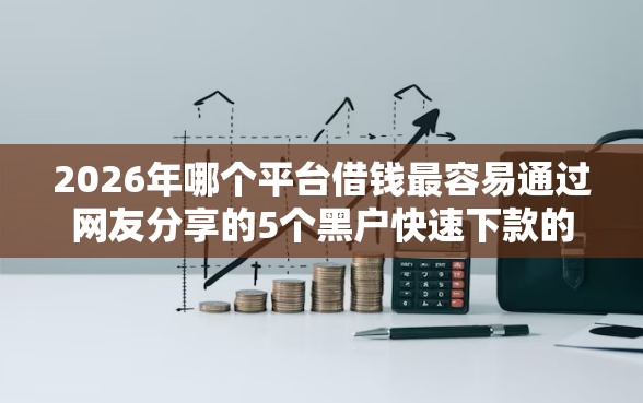 2026年哪个平台借钱最容易通过网友分享的5个黑户快速下款的口子我觉得不错！