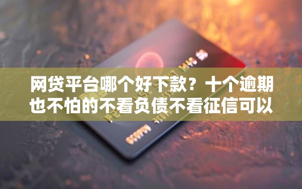 网贷平台哪个好下款?十个逾期也不怕的不看负债不看征信可以下款的平台 网贷平台哪个好下款?十个逾期也不怕的不看负债不看征信可以下款的平台