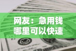 网友：急用钱哪里可以快速借到？求介绍几款无视黑户百分百下款口子