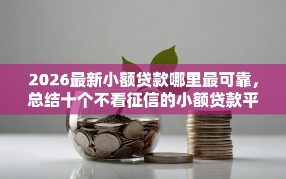 2026最新小额贷款哪里最可靠，总结十个不看征信的小额贷款平台！