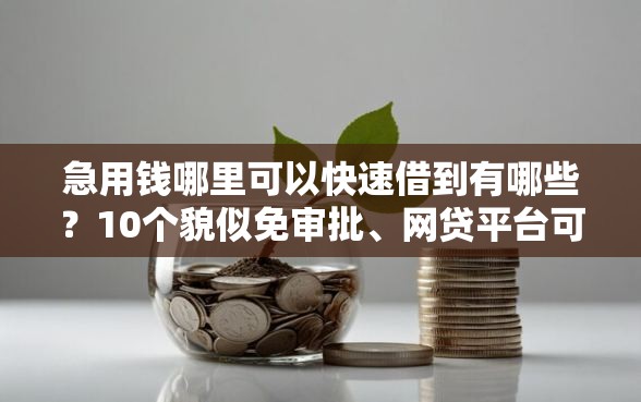 急用钱哪里可以快速借到有哪些?10个貌似免审批、网贷平台可以贷款合集 急用钱哪里可以快速借到有哪些?10个貌似免审批、网贷平台可以贷款合集