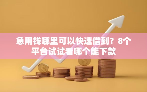 急用钱哪里可以快速借到?8个平台试试看哪个能下款 急用钱哪里可以快速借到?8个平台试试看哪个能下款