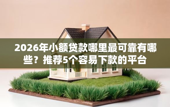 2026年小额贷款哪里最可靠有哪些?推荐5个容易下款的平台 2026年小额贷款哪里最可靠有哪些?推荐5个容易下款的平台