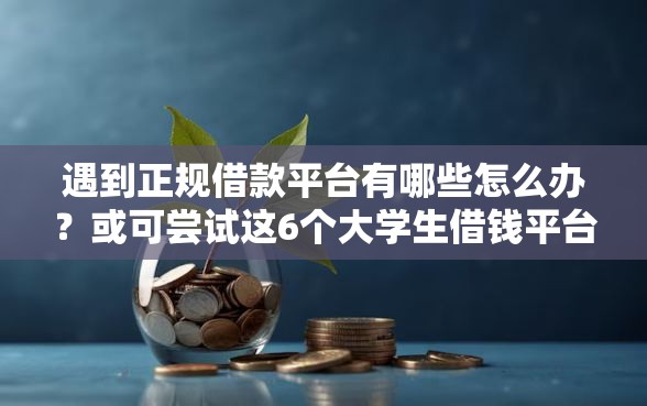遇到正规借款平台有哪些怎么办?或可尝试这6个大学生借钱平台 遇到正规借款平台有哪些怎么办?或可尝试这6个大学生借钱平台