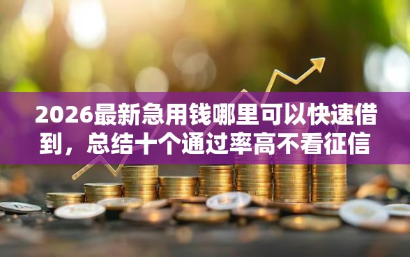 2026最新急用钱哪里可以快速借到，总结十个通过率高不看征信的贷款平台！