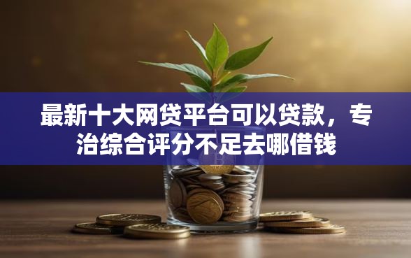 最新十大网贷平台可以贷款，专治综合评分不足去哪借钱