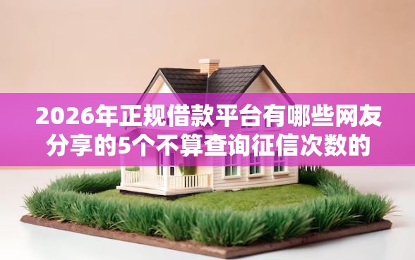2026年正规借款平台有哪些网友分享的5个不算查询征信次数的平台我觉得不错！