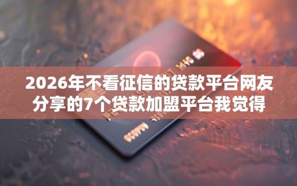 2026年不看征信的贷款平台网友分享的7个贷款加盟平台我觉得不错！