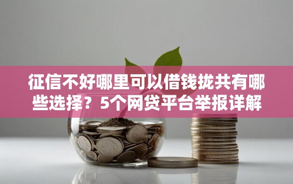 征信不好哪里可以借钱拢共有哪些选择？5个网贷平台举报详解