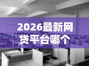 2026最新网贷平台哪个好下款，总结十个黑贷款马上下款的口子2025！