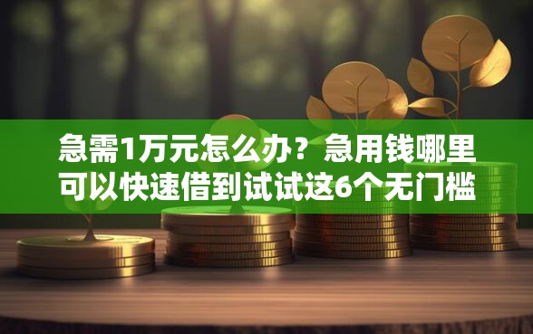 急需1万元怎么办？急用钱哪里可以快速借到试试这6个无门槛平台