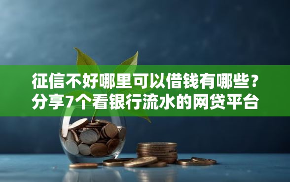 征信不好哪里可以借钱有哪些？分享7个看银行流水的网贷平台
