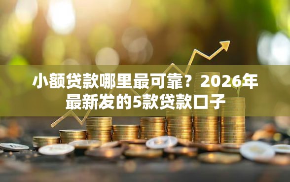 小额贷款哪里最可靠？2026年最新发的5款贷款口子