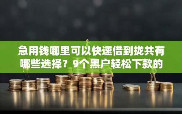 急用钱哪里可以快速借到拢共有哪些选择？9个黑户轻松下款的口子详解