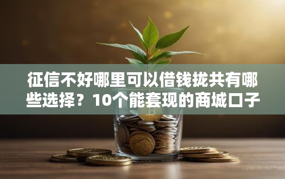 征信不好哪里可以借钱拢共有哪些选择？10个能套现的商城口子详解