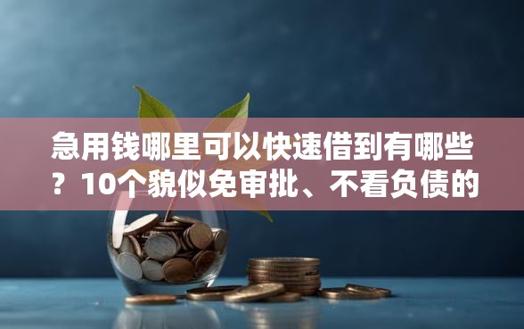 急用钱哪里可以快速借到有哪些？10个貌似免审批、不看负债的贷款平台合集