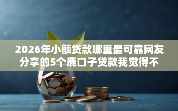 2026年小额贷款哪里最可靠网友分享的5个鹿口子贷款我觉得不错！