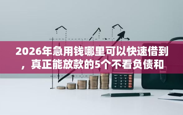 2026年急用钱哪里可以快速借到，真正能放款的5个不看负债和征信的平台推荐