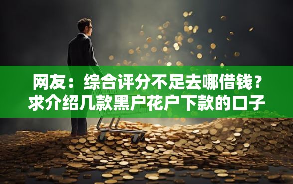 网友：综合评分不足去哪借钱？求介绍几款黑户花户下款的口子2025