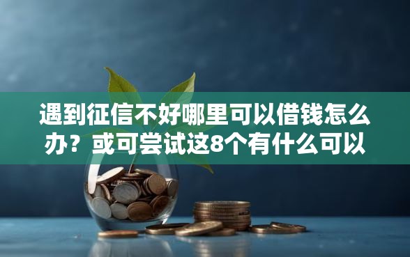 遇到征信不好哪里可以借钱怎么办？或可尝试这8个有什么可以贷款的平台